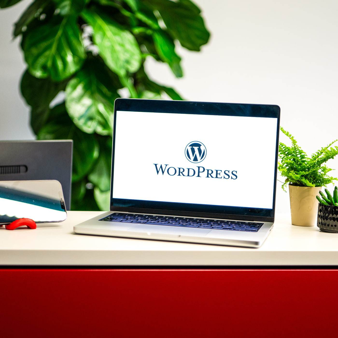 Laptop mit Wordpress-Logo, Pflanze