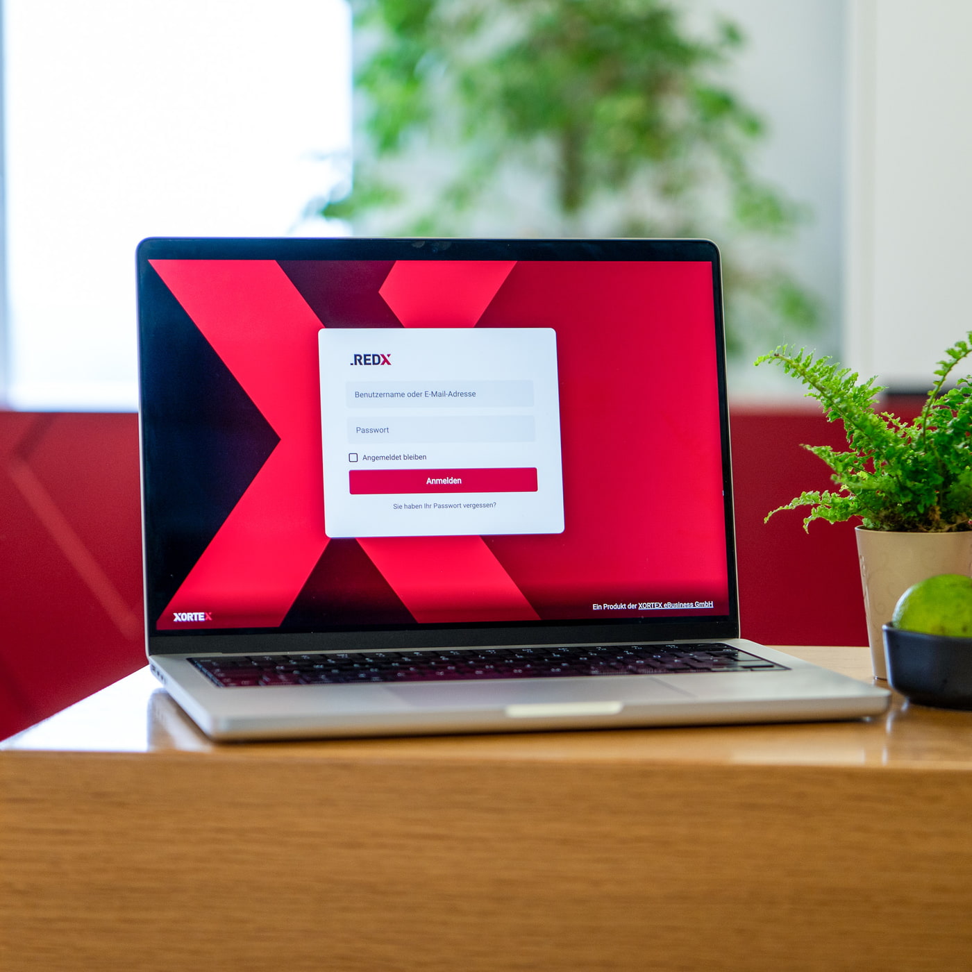 Laptop mit REDX-Backend-Login, Pflanze