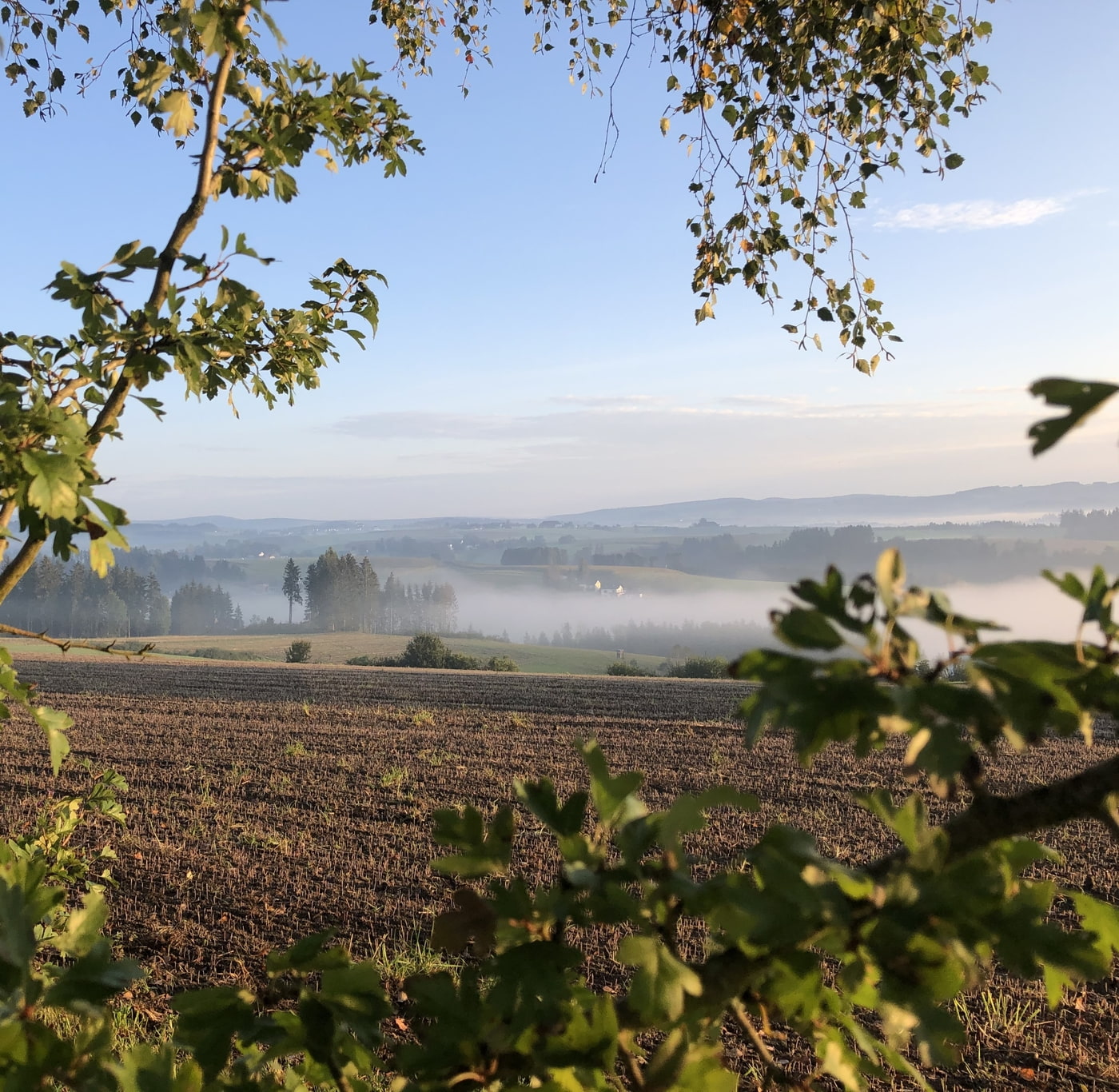 Landschaftsbild vom Mühlviertel mit dusigem Nebel über den Feldern