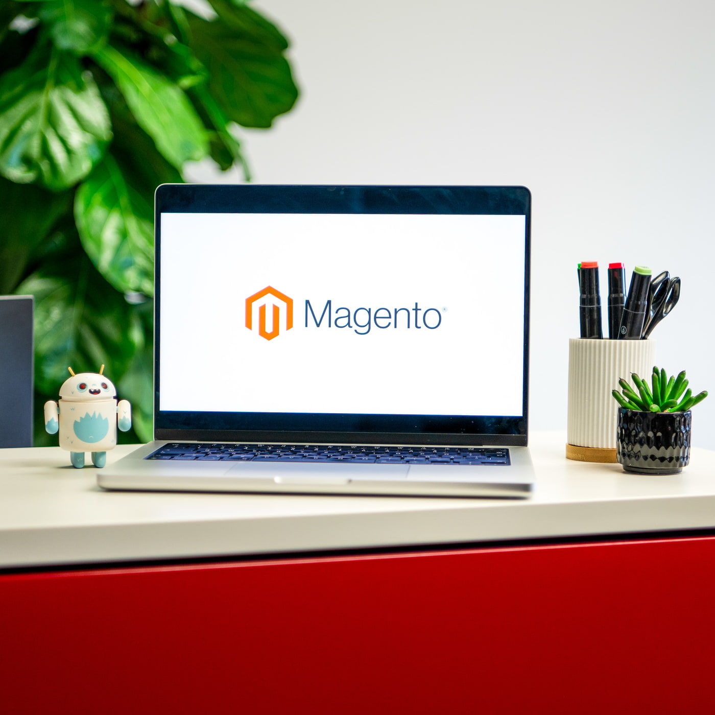 Laptop mit Magento-Logo, Stifte, Pflanze