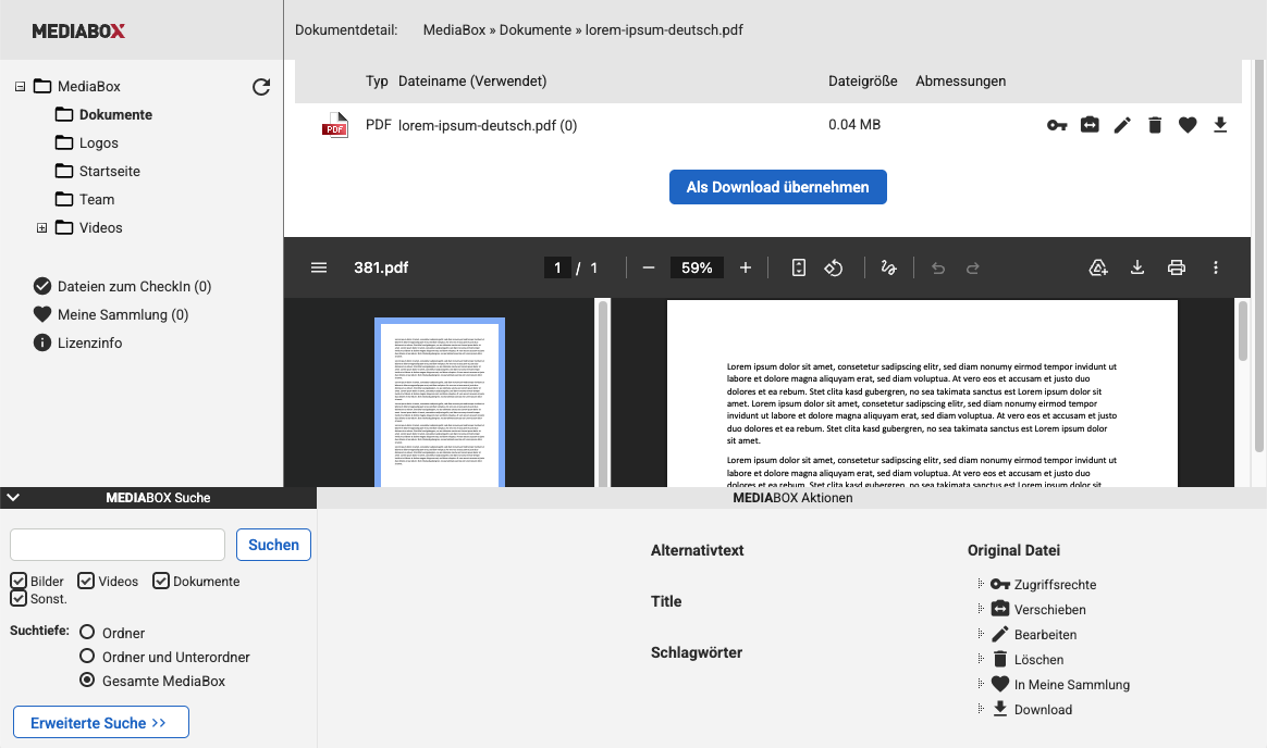 Im Backend in der Mediabox ein PDF-Dokument ausgewählt mit Vorschau