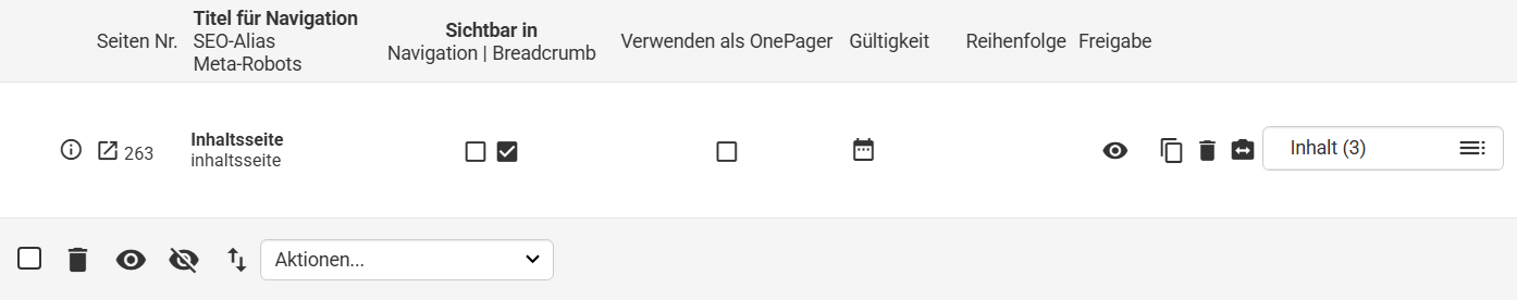 SEO-Daten bei einer Inhaltsseite in der Seitenübersicht